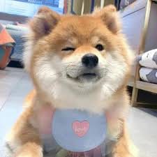 สารัชถ์ รัตนาวะดี avatar