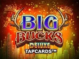 บัตรแตะบิ๊กบัคส์ดีลักซ์ game thumbnail